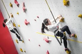 2025 赛季：纽约洋基队由于连续多年未进决赛，球迷再次发起大规模解雇总教练示威